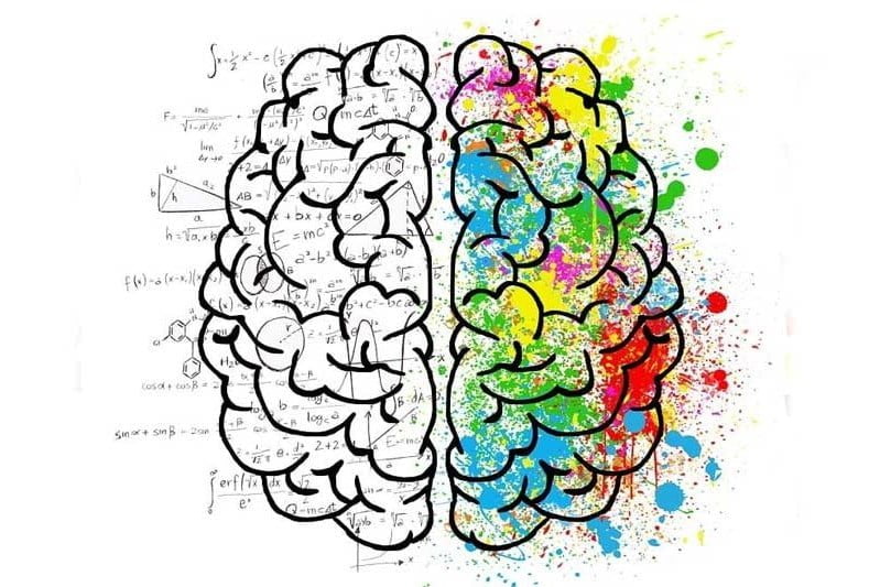 Am I Left-Brained or Right-Brained - Quiz
